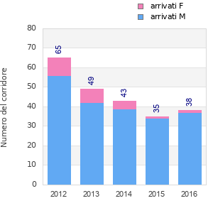 Finisher history