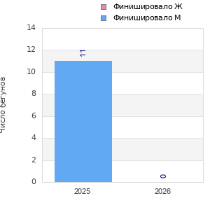 Finisher history