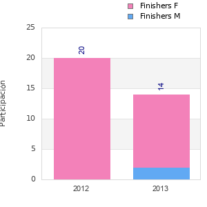 Finisher history